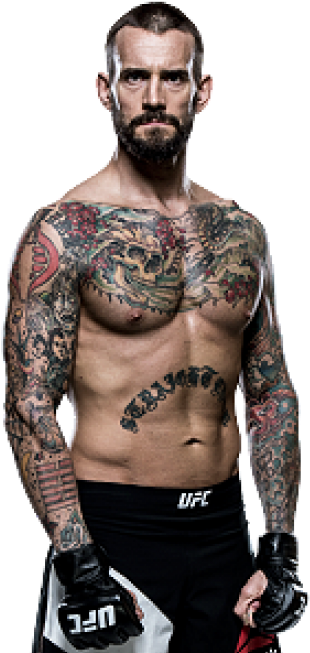 Cm Punk - Cm Punk Vs Kenny Omega (368x660), Png Download