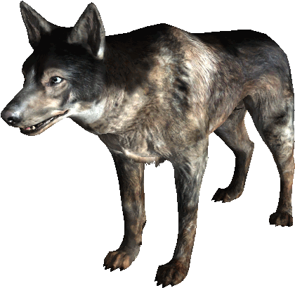 Dogmeat - Australian Cattle Dog Dogmeat (627x448), Png Download