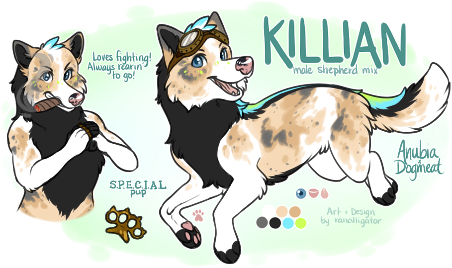 Anubia X Dogmeat - Sakhalin Husky (926x552), Png Download