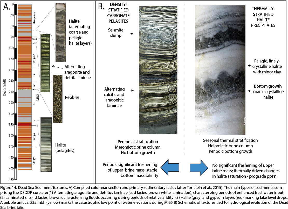 Since The Beginning Of The 20th Century The Water Budget - Water (1166x806), Png Download