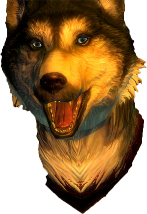Straight Donations Accepted - Mackenzie River Husky (300x436), Png Download
