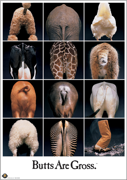 "butts Are Gross" Classic - Butts Are Gross Poster (720x720), Png Download