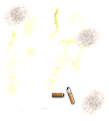 Pee And Cigarette Butts - Dandelion (383x419), Png Download