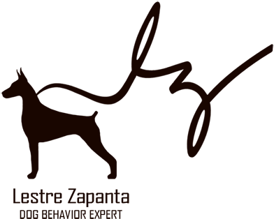 Lestre Zapanta The Pinoy Dog Whisperer - Floppy Eared Doberman Silhouette (400x331), Png Download