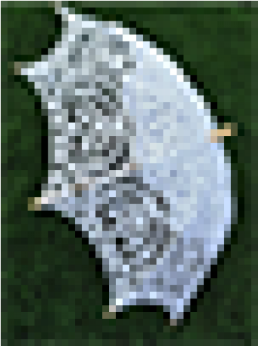 Please Select - Animated Dolphin (500x500), Png Download