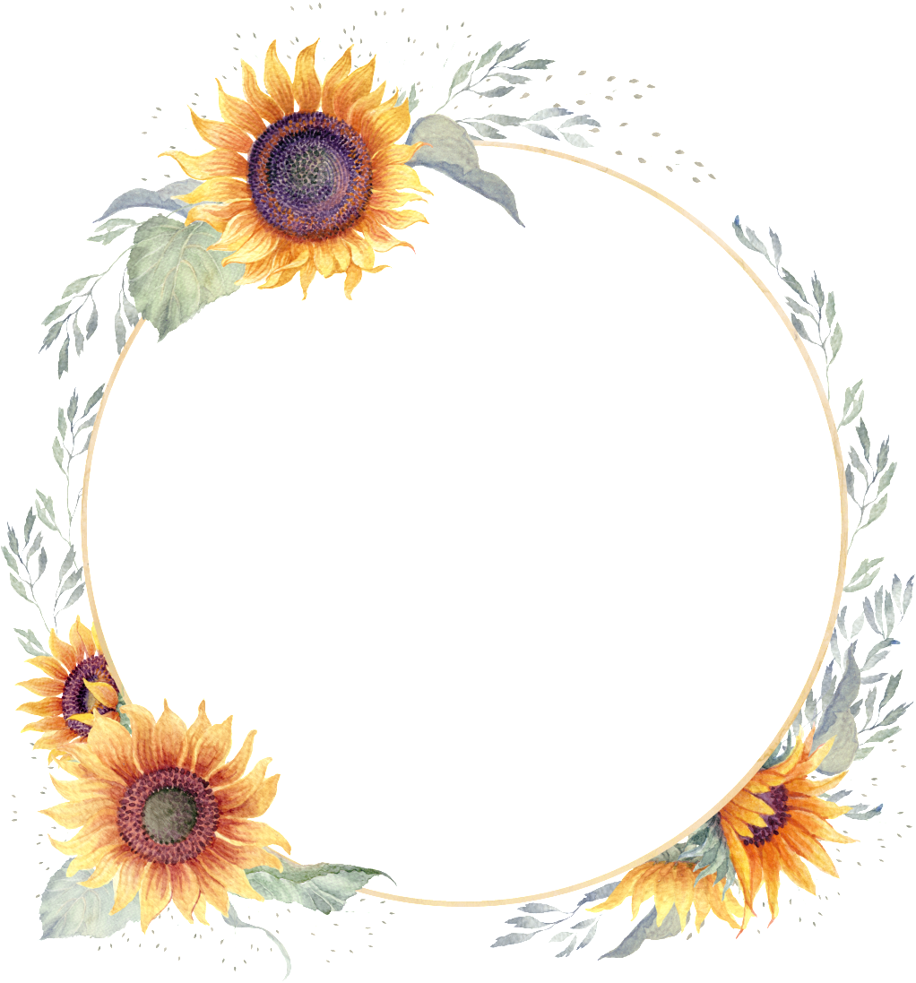Watercolor Hand Painted Sunflower Transparent - Portable Network Graphics (1024x1109), Png Download