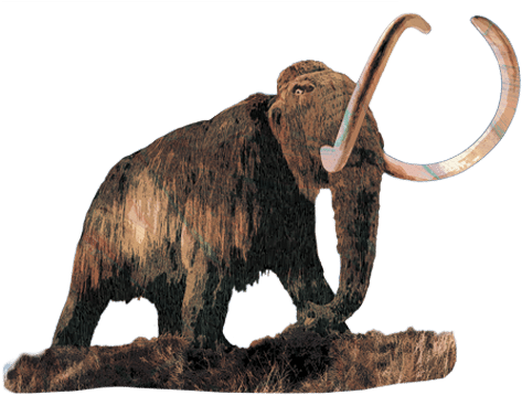 For A Good Understanding Of The Glacial Landscape It - Quaternary Time Period (600x362), Png Download