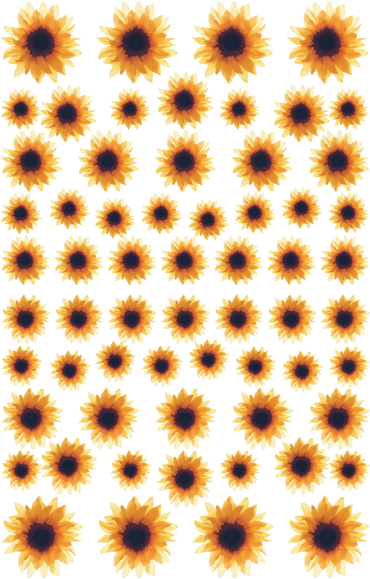 転写ネイルシール＊watercolor Sunflower 【170005】 - Bias (591x874), Png Download