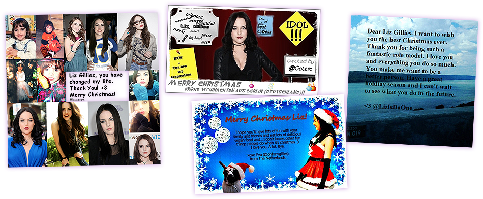 » 2012 Christmas Project » Liz Gillies Online « - Elizabeth Egan Gillies (1000x426), Png Download