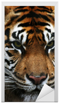 Eye Of The Tiger (400x400), Png Download