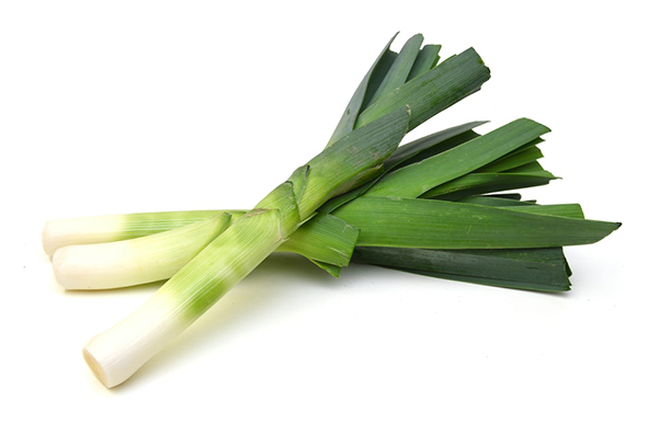 Poro - Poro - Poro - Onion Leek (600x600), Png Download