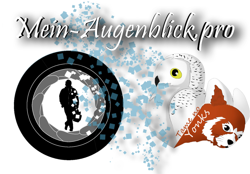 Katniss Everdeen Von Die Tribute Von Panem Von Bluekitty - Katniss Everdeen (807x556), Png Download