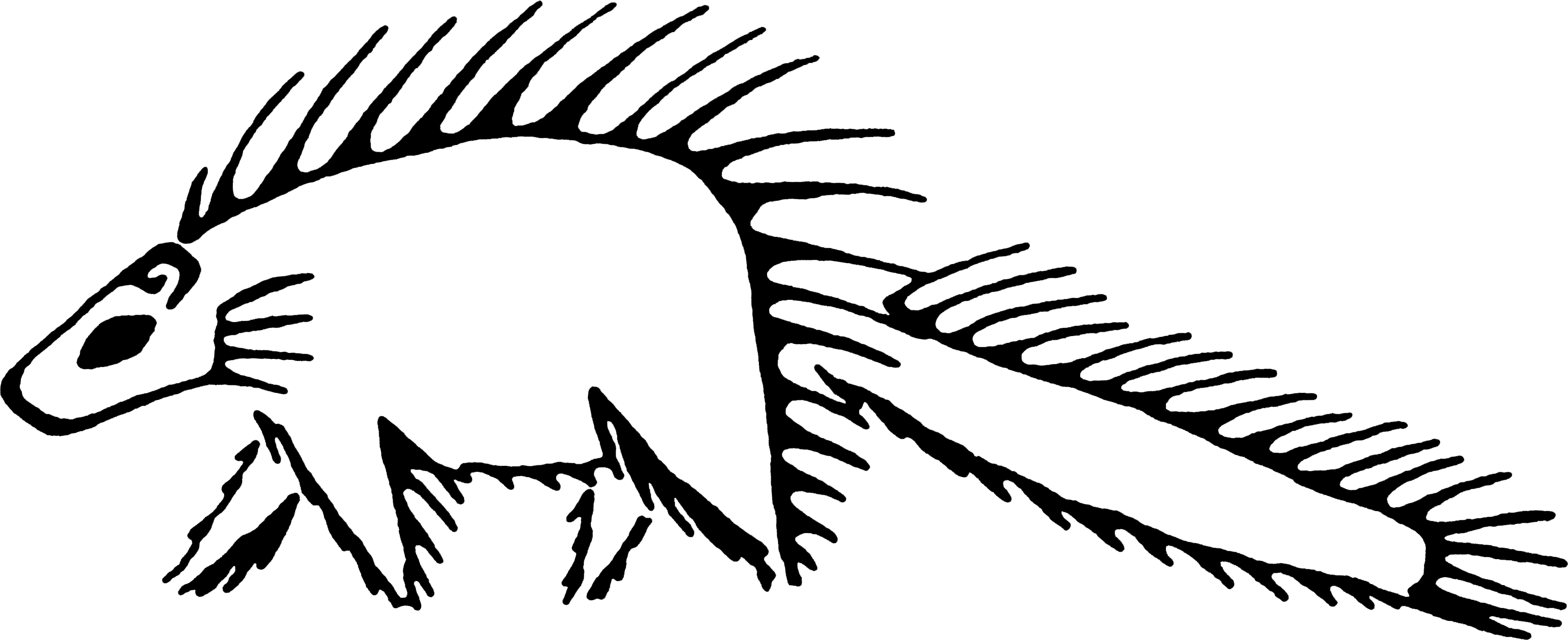 Okanagan Indian Band (2944x1202), Png Download