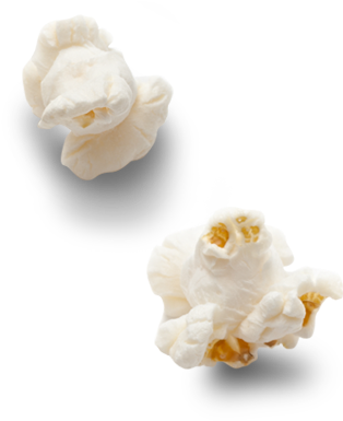Popcorn Kernel Png Download - Single Popcorn Kernel Png (397x393), Png Download