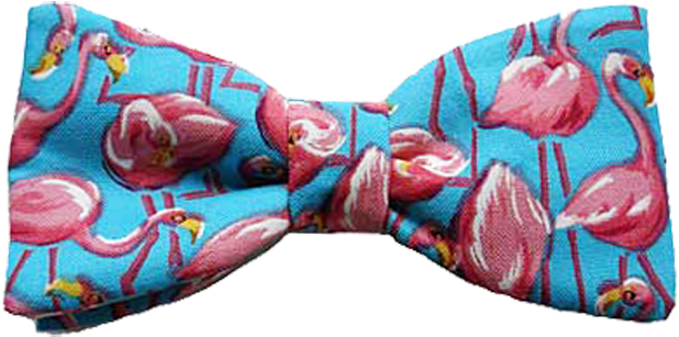 Pink Flamingo - Silk (640x336), Png Download