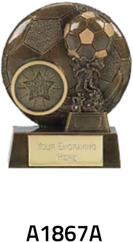 Football Trophy Png (366x500), Png Download
