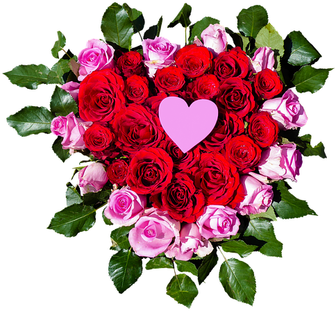 Garden Roses (640x480), Png Download