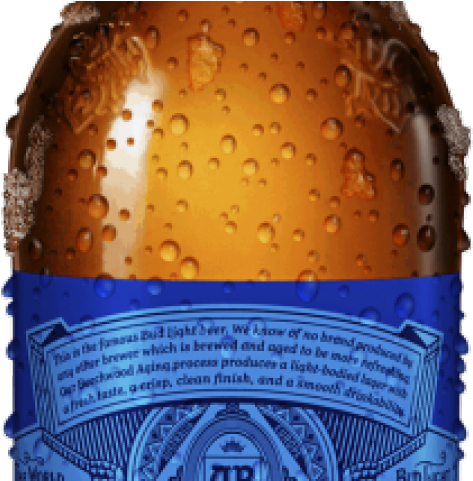 Beer Clipart Budlight - Bud Light Lime Beer - 12 Pack, 12 Fl Oz Bottles (640x480), Png Download
