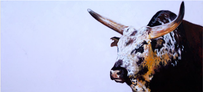 Bull (800x600), Png Download