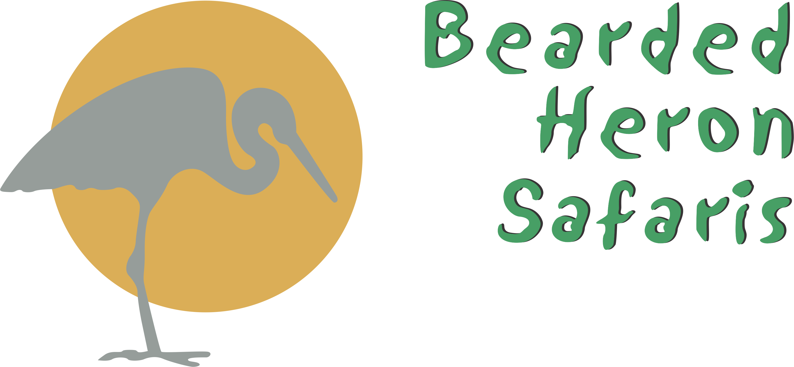 Bearded Heron Safaris (3270x1513), Png Download