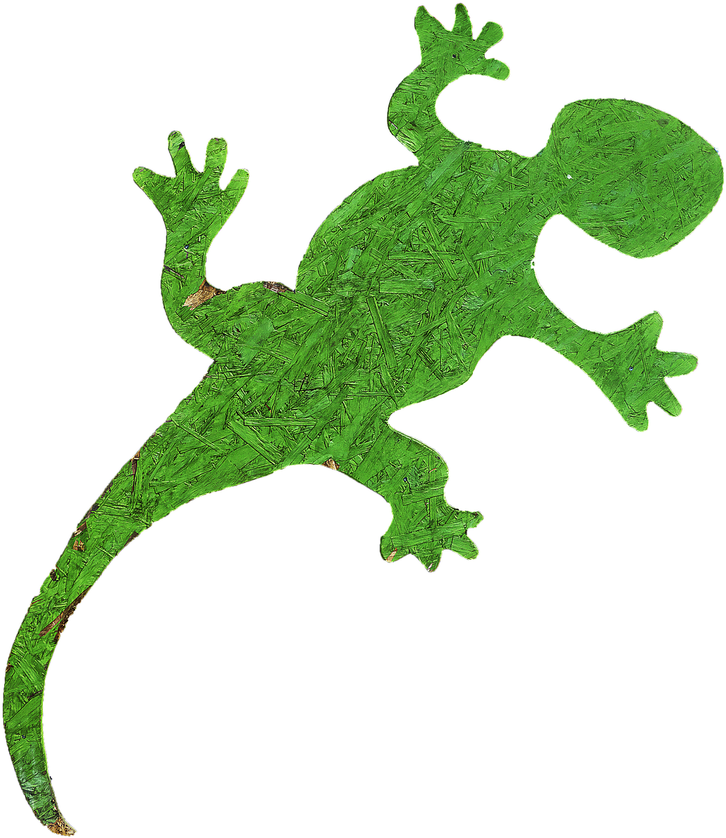 Gecko Holzfigur Figure - International Year Of Forests 2011 (1190x1280), Png Download