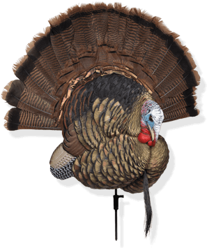 Turkey Decoys - Avian X Trophy Tom (640x400), Png Download