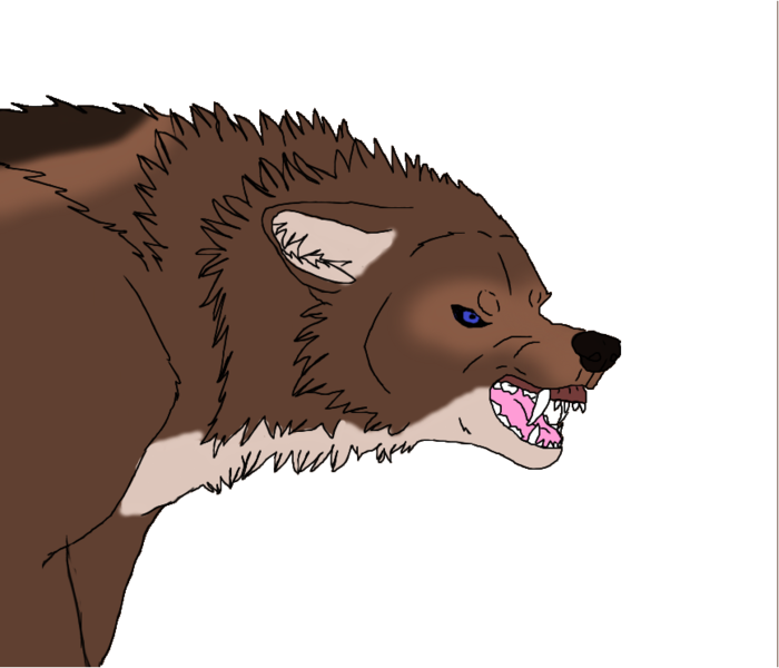 Angry Wolf - Cartoon (700x600), Png Download