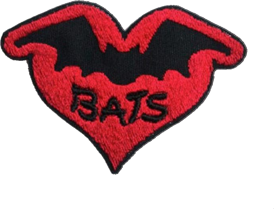 54 Images About Cool Pngs On We Heart It - Embroidered Patch (1024x842), Png Download
