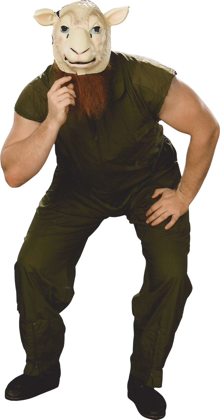 Erick Rowan Render - Erick Rowan 2013 Posed Sports (773x1473), Png Download
