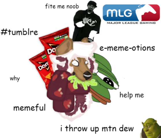 Meme Trash Lord By A Mbers-d8zv4rm - Animal Jam Trash (580x480), Png Download