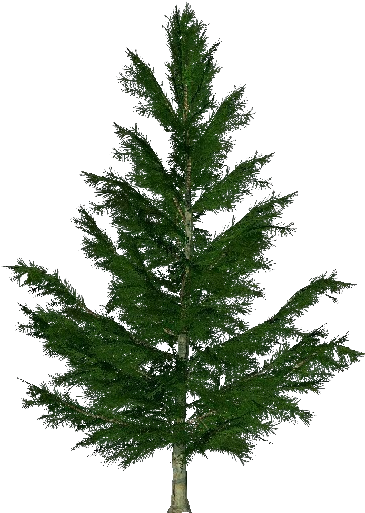 3d Trees - Spruce - Künstlicher Christbaum Profi (750x527), Png Download