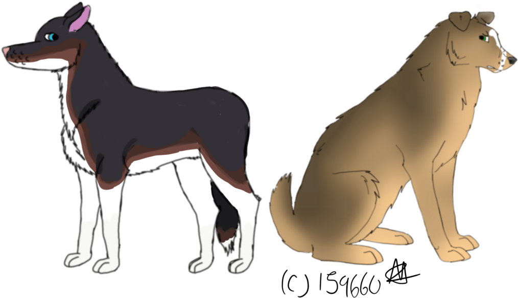 Wolf Done By Me Colored By Damian Wayne - Smooth Collie (1067x800), Png Download