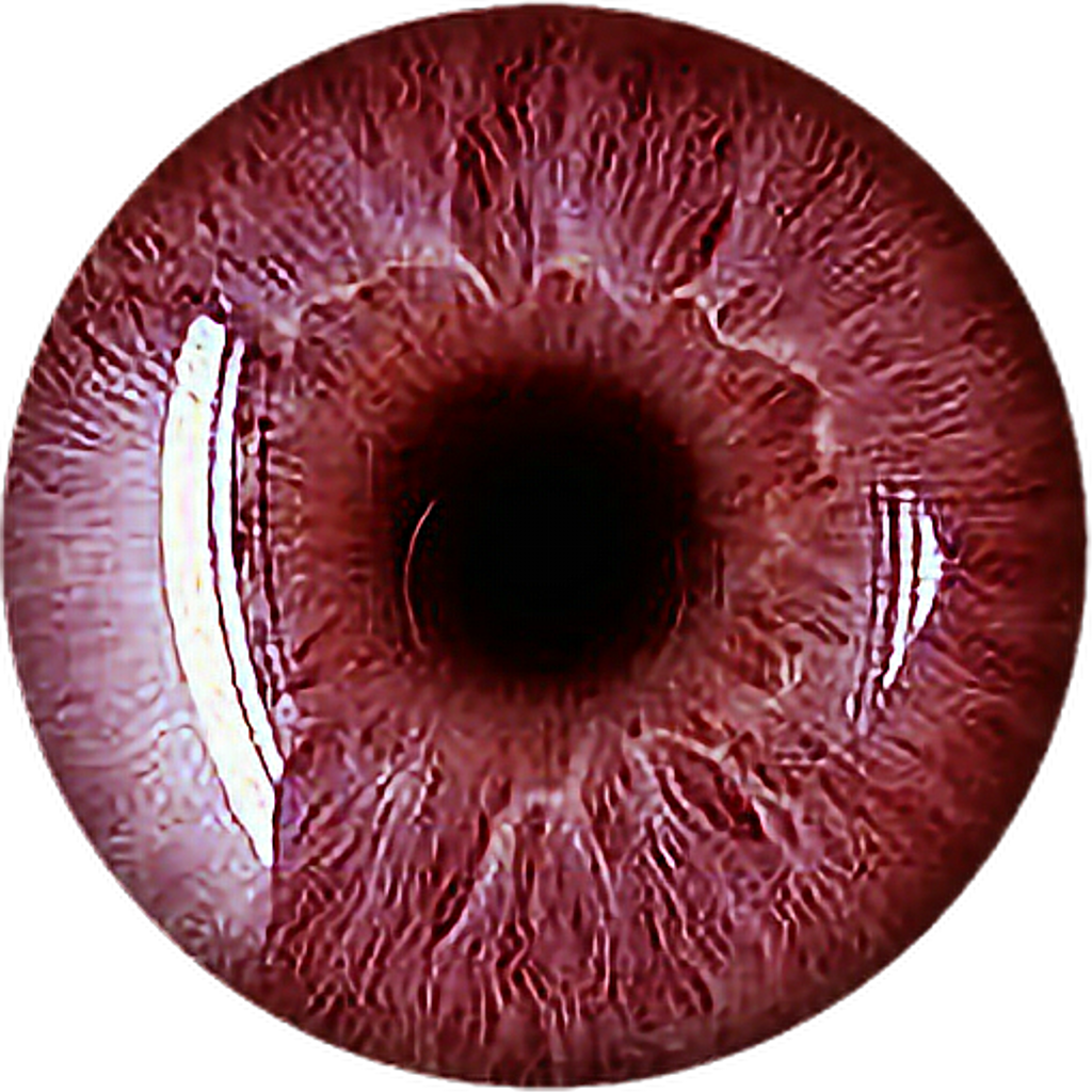 Eye Red Scary Vampire Redeyes Eyecolor Eyeball Freetoed - Iridology Healthy Eye (1024x1024), Png Download