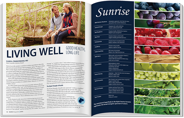 I Was Lead Designer And Project Manager For The Most - Brochure (698x562), Png Download