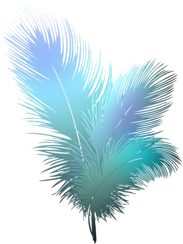 Feather Png - Transparent Peacock Feather Png (550x539), Png Download