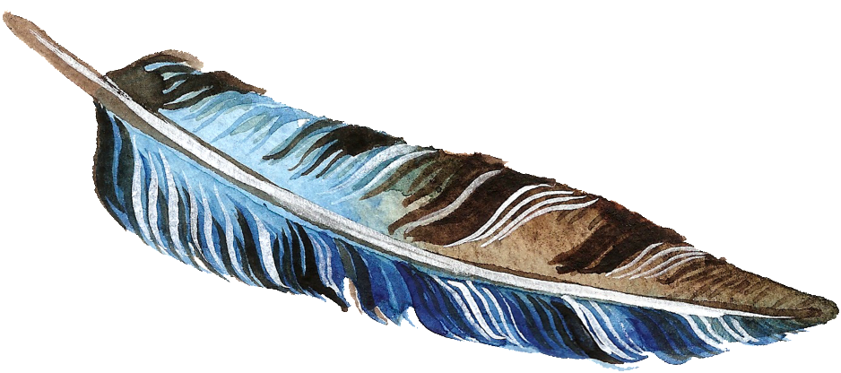 Brown And Blue Feather Transparent Decorative - Trampoline (1024x619), Png Download