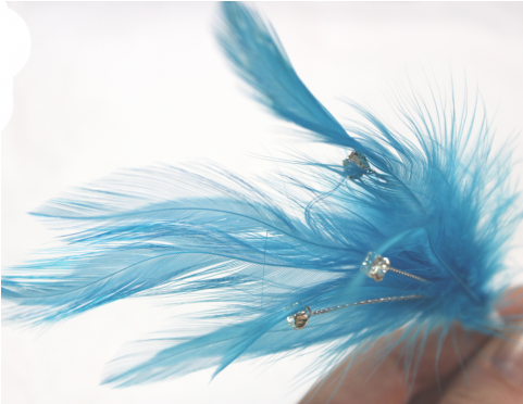 Blue Feather And Rhinestone Accent - Sand Eel (480x480), Png Download