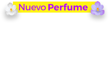 Orange (1140x425), Png Download