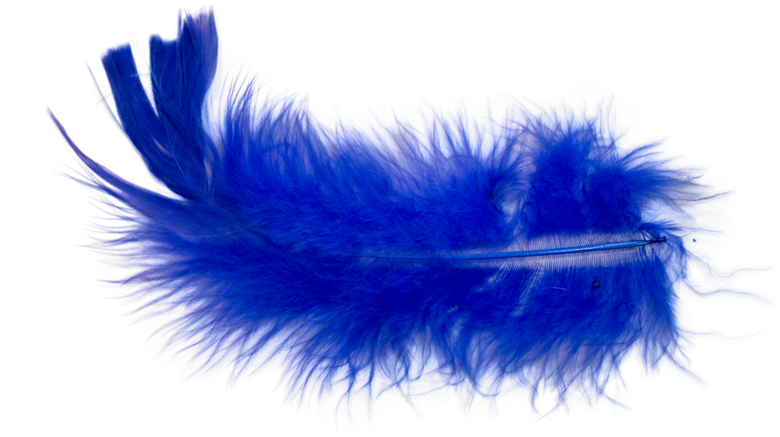 I Did A Little Research On How To Photoshop Out A Color - Feather (3311x2037), Png Download