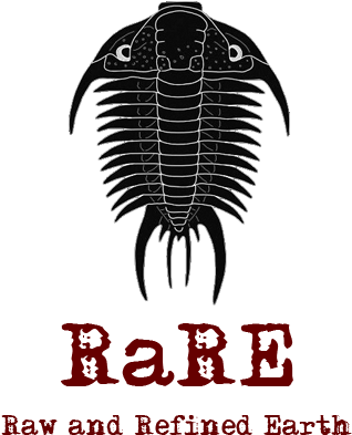 Saltasaurus (450x470), Png Download