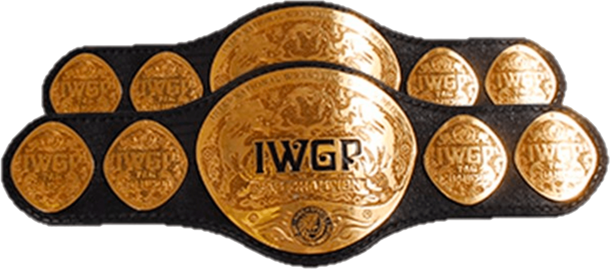 World team championship. IWGP tag Team Championship. IWGP INTERCONTINENTAL Championship. Tag Team Championship TXN. NJPW title.