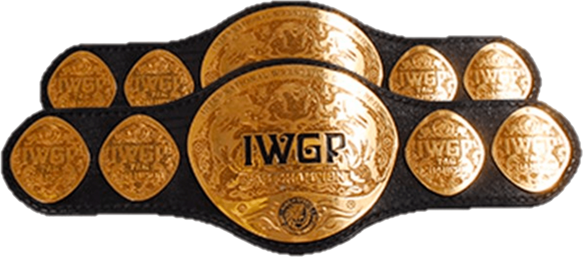 Таг тим. IWGP tag Team Championship. IWGP INTERCONTINENTAL Championship. Сорт: Championship.