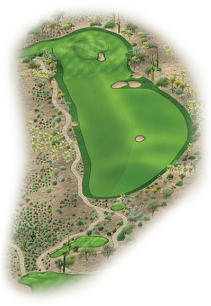 Saguaro 13 Edit - Saguaro (432x648), Png Download