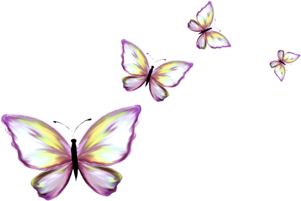 Papillon Clipart Border - Butterfly (600x600), Png Download