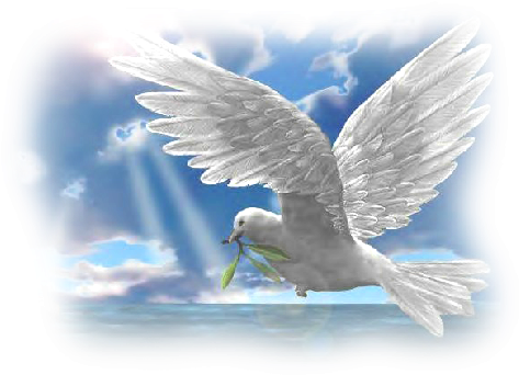 Designerscraps - Pigeons - - Potala Palace (500x371), Png Download