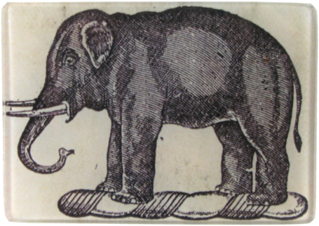 Black & White Elephant - Elephant (500x500), Png Download