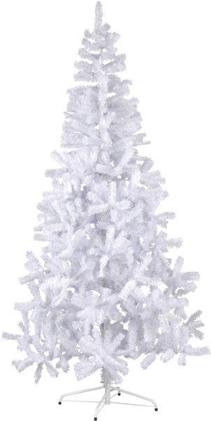 Christmas Tree Canadian - Metal Ayak Beyaz Çam Ağacı 150cm (600x600), Png Download