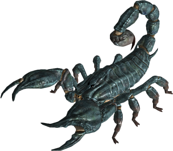 Fallout 4 Radscorpion Png (650x575), Png Download