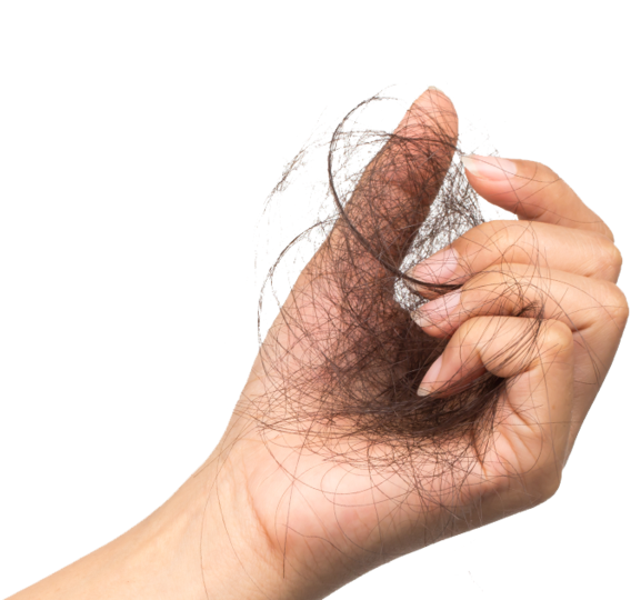 Experience Hair Loss At Some Time In Their Lives - Tea (600x600), Png Download