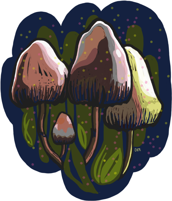 0 - Okir (630x722), Png Download
